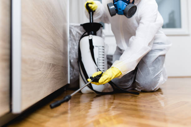 Professional Pest Control in North Highlands, CA