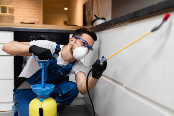 Best Mosquito Control Services  in North Highlands, CA