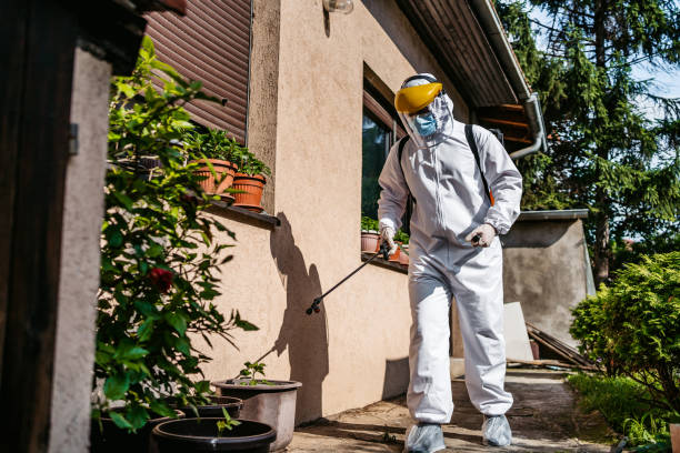 Best Insect Control  in North Highlands, CA