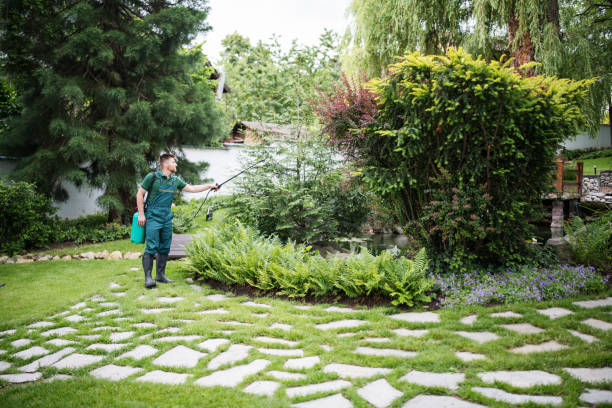 Best Affordable Pest Control Services  in North Highlands, CA