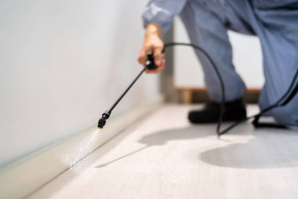 Best Commercial Pest Control Services  in North Highlands, CA