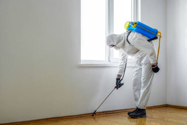 Pest Control for Restaurants in North Highlands, CA