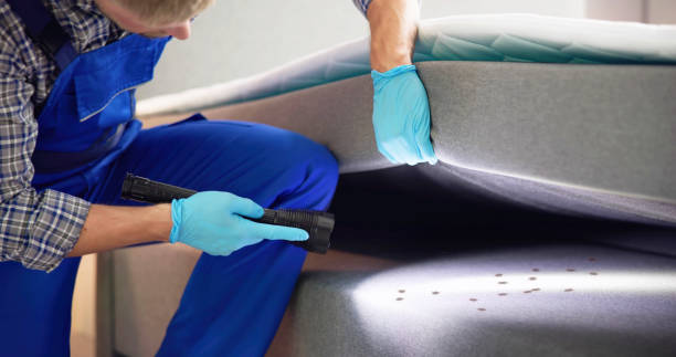 Best Bed Bug Extermination  in North Highlands, CA