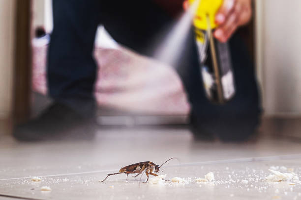 Best Pest Inspection Near Me  in North Highlands, CA
