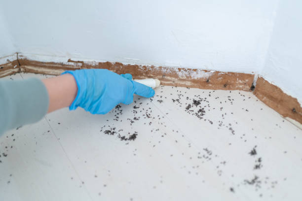 Best Commercial Pest Control Services  in North Highlands, CA